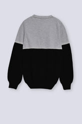 Men's Sweater F/Slv.